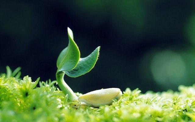 Bí quyết sống khỏe mỗi ngày